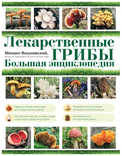 [Михаил Вишневский] Лекарственные грибы. Большая э_0.jpg